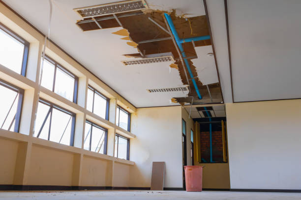 Best Flood restoration services  in Imperial, CA