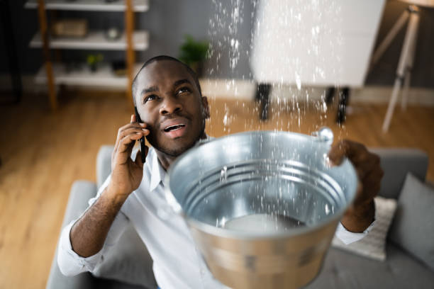 Best Professional water damage repair  in Imperial, CA