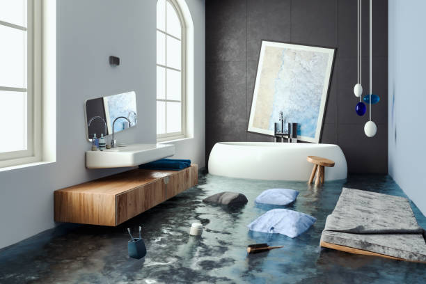 Best Mold removal after water damage  in Imperial, CA