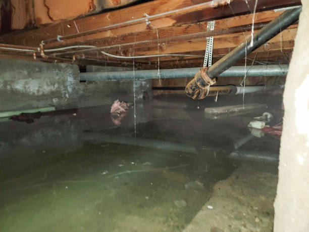 Best 24/7 water damage repair  in Imperial, CA