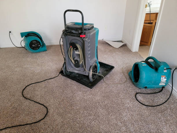 Fire Damage Restoration in CA