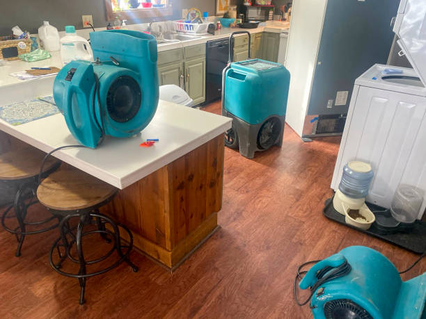 Best Water damage contractors near me  in Imperial, CA