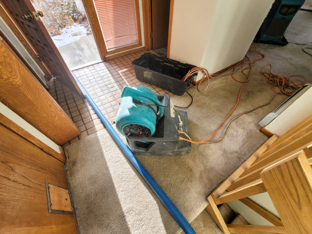 Best Water damage restoration near me  in Imperial, CA