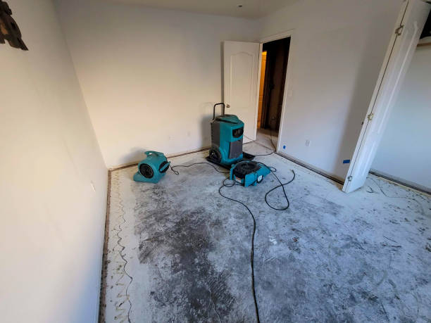 Best Mold removal after water damage  in Imperial, CA