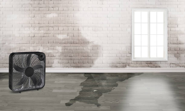Local water damage restoration in CA
