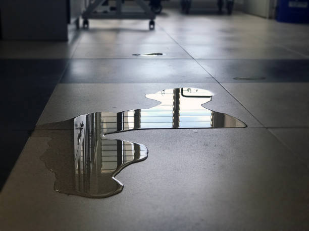  Imperial, CA Water damage restoration Pros