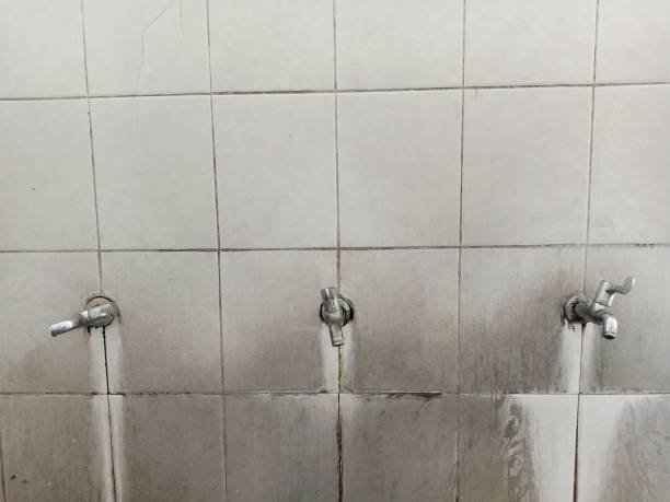 24/7 water damage repair in CA