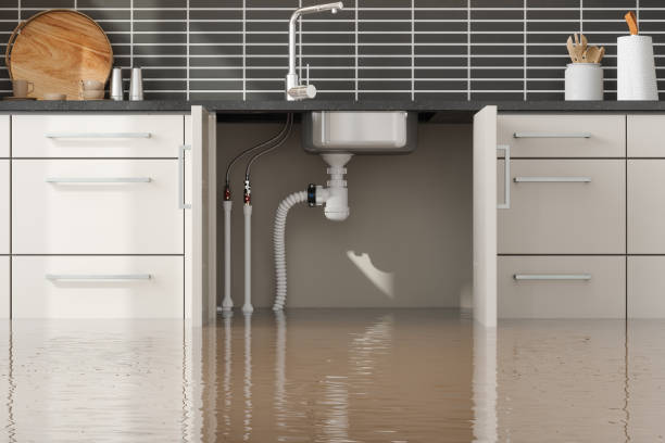 Best Flood damage cleanup  in Imperial, CA