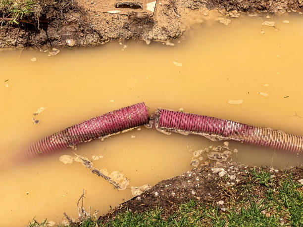 Best 24-hour water damage restoration  in Imperial, CA